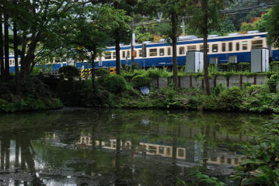 円覚寺前を駆け抜けるM40編成。横須賀線を行くスカ色の電車が見られるのも今夏で最後か。